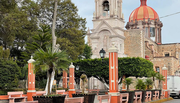 Cotija