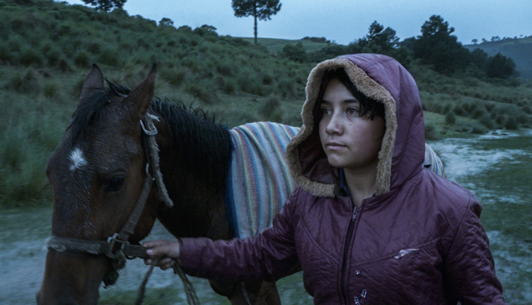 El eco (2023), Dir. Tatiana Huezo