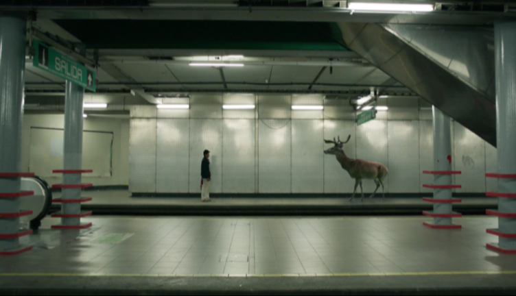 El sueño de mara'akame (2016, dir Federico Cecchetti