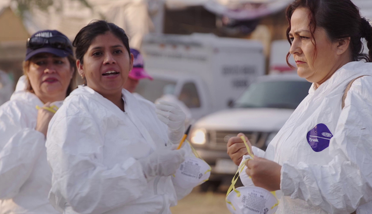 Volverte a ver (2020, dir. Carolina Corral, Magali Rocha)