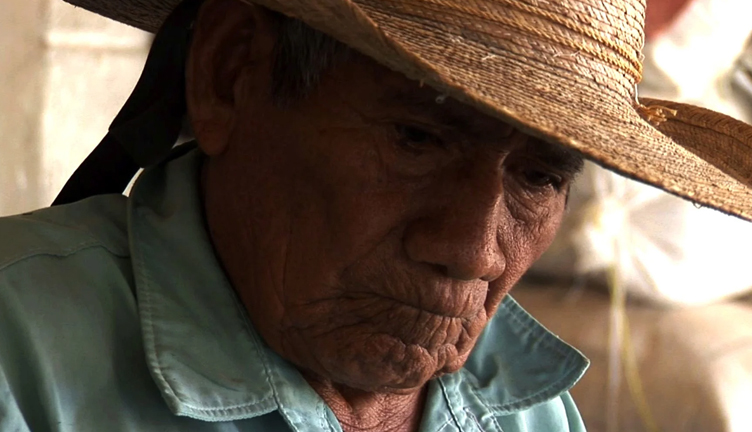 Silvestre Pantaleón (2011, dir. Jonathan D. Amith, Roberto Olivares Ruiz)