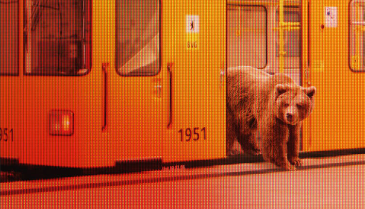 Image from the 2016 Berlinale poster.