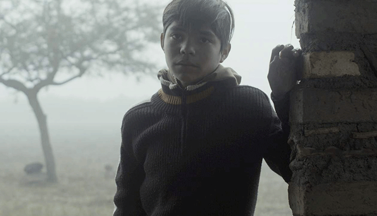 Sin señas particulares (2020, dir. Fernanda Valadez)