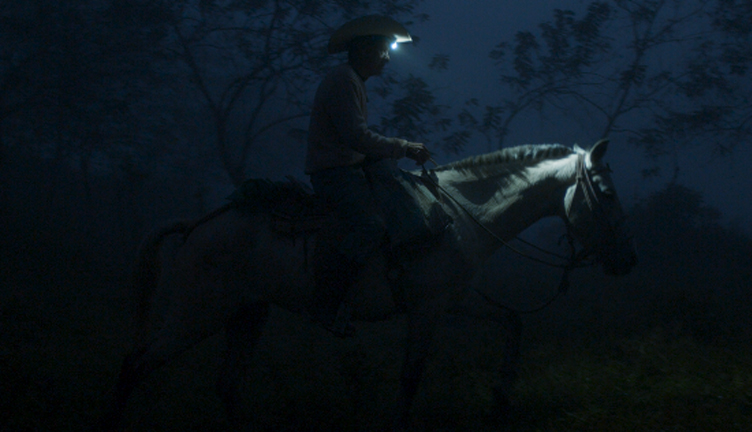 Pobo 'Tzu' - Noche blanca (2021, dir. Tania Ximena Ruiz, Yollotl Gómez Alvarado)