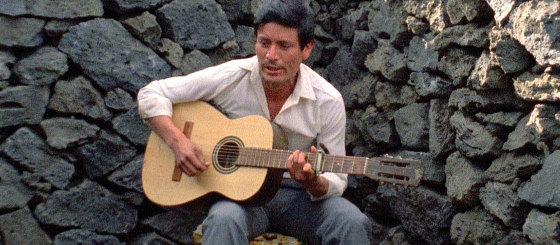 Elvira Luz Cruz, pena máxima