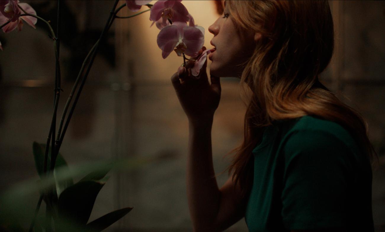 La era de las plantas con flor