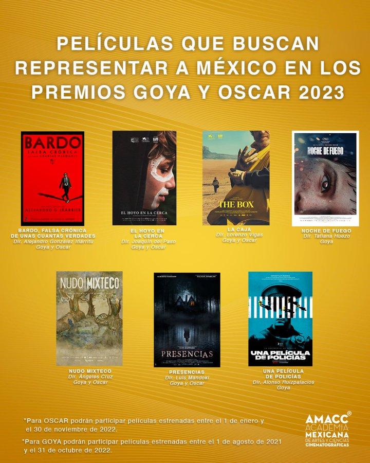 Oscar Goya 2023