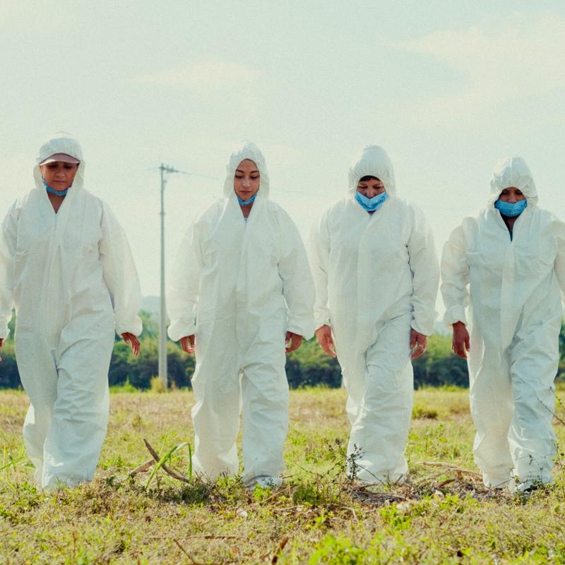 Volverte a ver (2022, dir. Carolina Corral, Magali Rocha)