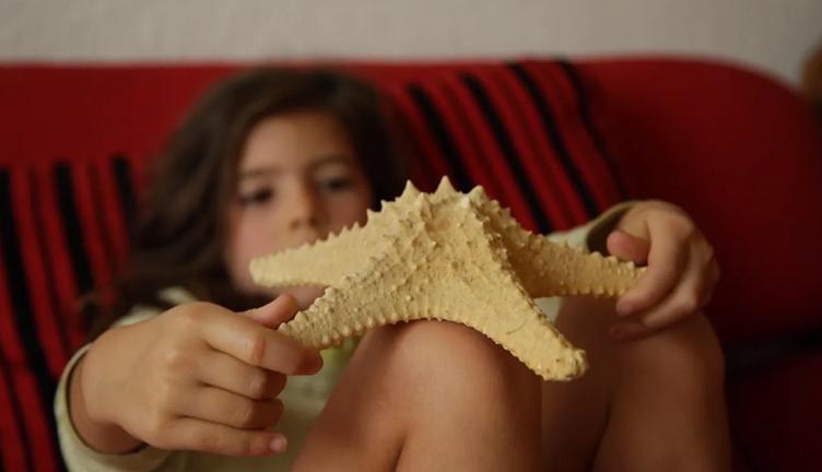 Malintzin 17,  de Eugenio y Mara Polgovsky, competirá en el Festival de Rotterdam 2022