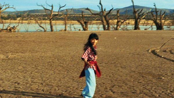 Traigan de vuelta al tigre