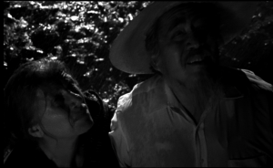 La luna de Antonio (dir. Diana Cardozo Benia)