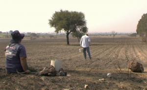 El Varal (dir. Marta Ferrer)