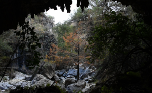 El lugar de las nubes y algunas palabras perdidas (dir. Nicolás Rojas Sánchez)
