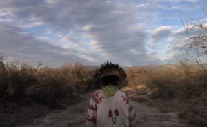 Flores en el desierto (dir. José Álvarez)