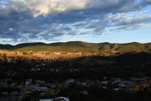 Tuyuku (Ahuehuete) (dir. Nicolás Rojas Sánchez) 
