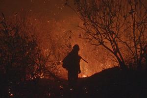 Brigada 2045, de Olivia Luengas Magaña