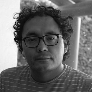 David Flores Mendieta