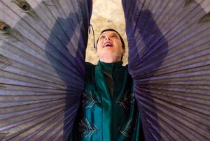 Une saison avec Isabella Rossellini